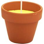 CANDELA CITRONELLA VASO   mm 60 Pz 6 LAPILLO 09295