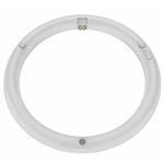 LAMPADA LED T9 W19 CIRCOLARE Lm2200           SHOT