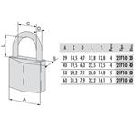 LUCCHETTO OTTONE mm 30 ARCO INX KA   21710 CISA LL